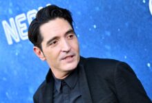 Street Fighter David Dastmalchian
