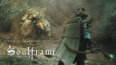 Soulframe