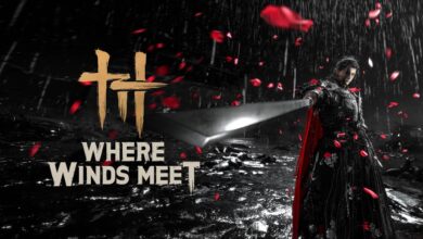 Where Winds Meet