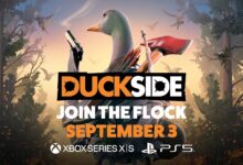 DUCKSIDE