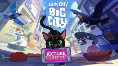 Little Kitty, Big City