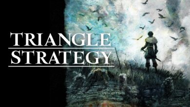 Triangle Strategy
