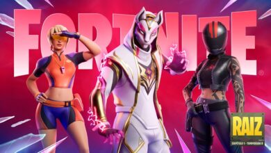 Fortnite Raiz