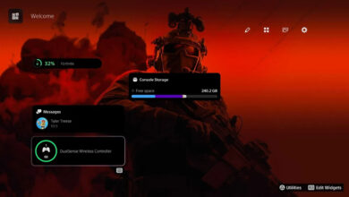 Tema PS5