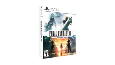 Final Fantasy VII Remake Intergrade & Rebirth Twin Pack