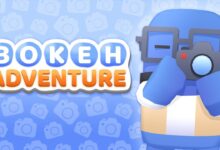 Bokeh Adventure