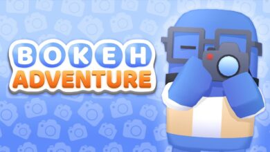 Bokeh Adventure