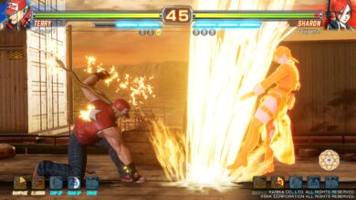 Fighting EX Layer