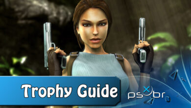 Tomb Raider Anniversary
