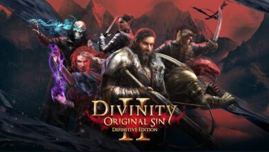 Divinity: Original Sin II