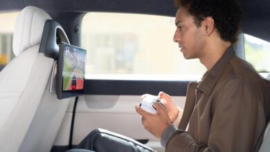 PlayStation Remote Play