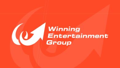 Natsume Atari Winning Entertainment Group