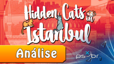 Hidden Cats in Istanbul