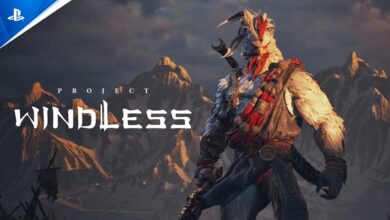 Project Windless