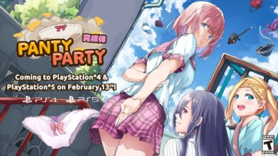 Panty Party Perfect