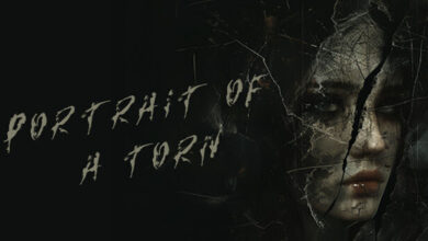 Portrait of a Torn