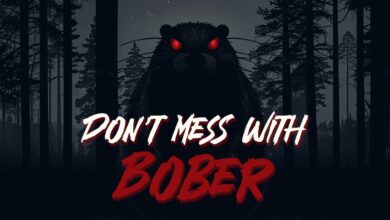 Don't Mess With Bober