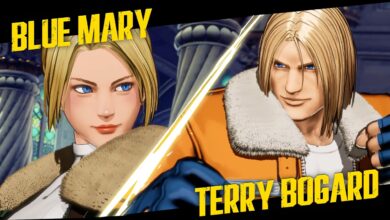 Fatal Fury: City of the Wolves
