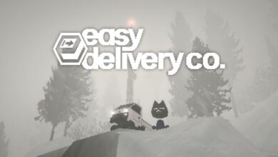 Easy Delivery Co.