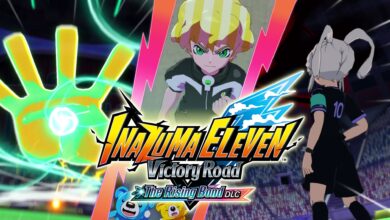 Inazuma Eleven: Victory Road