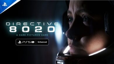 Directive 8020