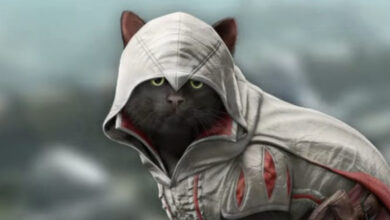 Assassins Creed Cat
