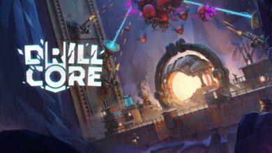 Drill Core
