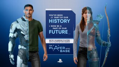 The Playerbase