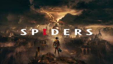 Spiders
