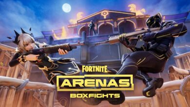 Fortnite Arenas