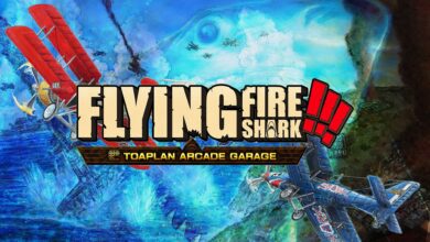 Flying Fire Shark!!!: Toaplan Arcade Garage
