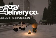 Easy Delivery Co.