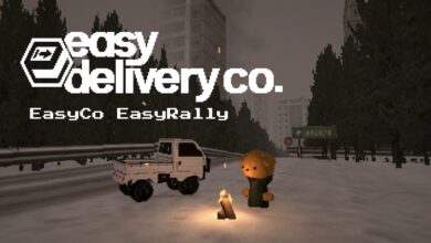 Easy Delivery Co.