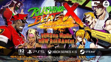 RUSHING BEAT X: Return of Brawl Brothers
