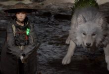 Beast of Reincarnation