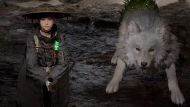 Beast of Reincarnation