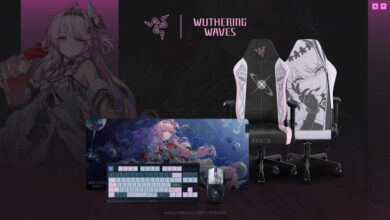 Wuthering Waves Razer
