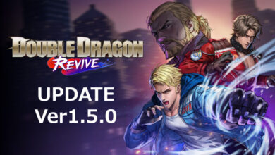 Double Dragon Revive